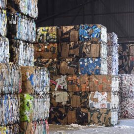 recycled salon cardboard